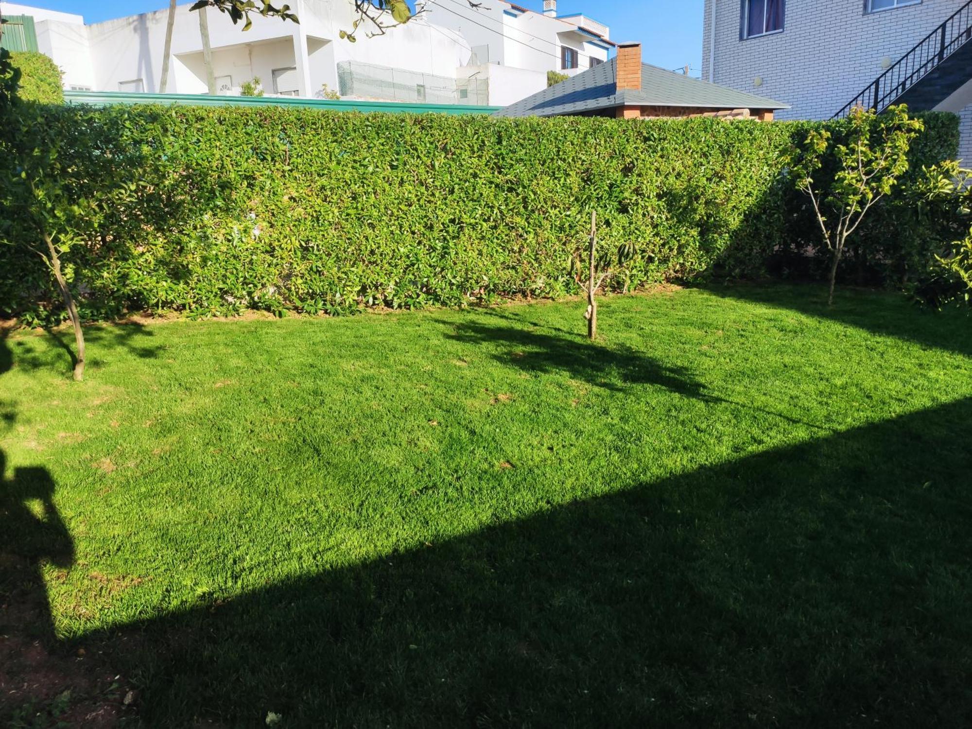 Casa Radu Apartment Mexilhoeira Grande Екстериор снимка