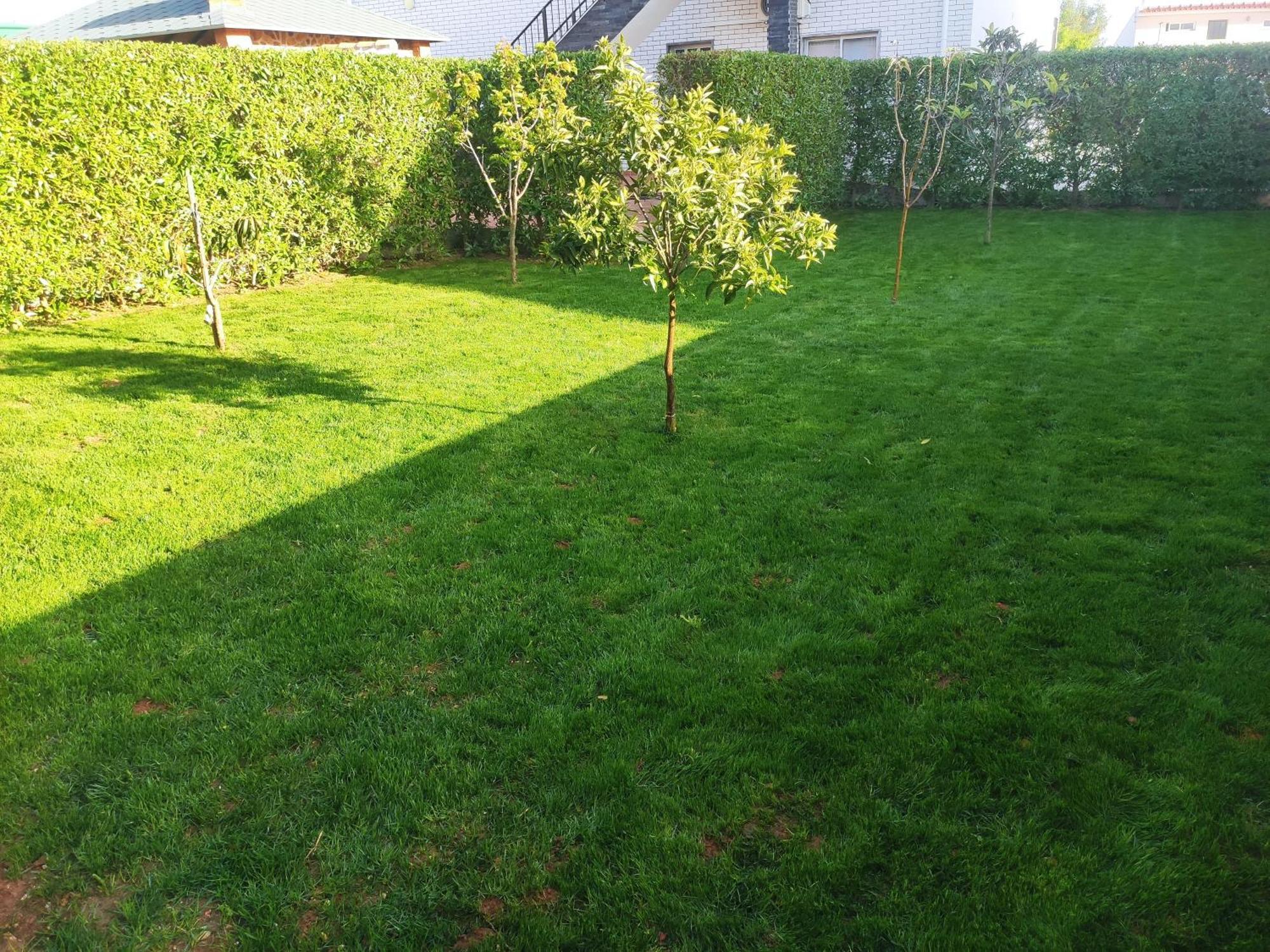 Casa Radu Apartment Mexilhoeira Grande Екстериор снимка