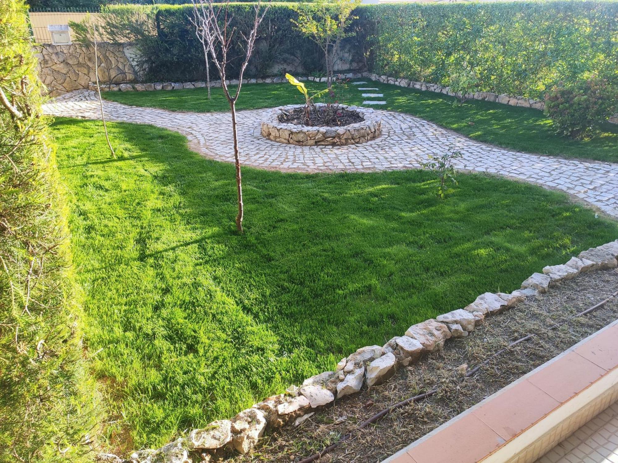 Casa Radu Apartment Mexilhoeira Grande Екстериор снимка